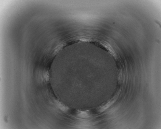 X0000095930285200801181447