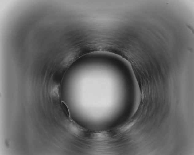 X0000095930286200801181447