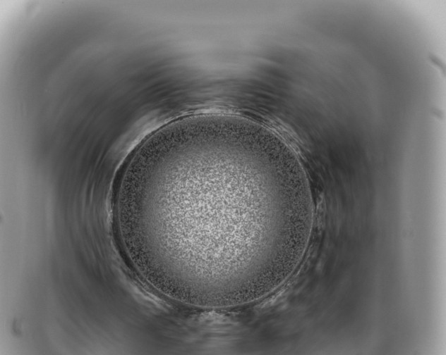 X0000095930290200801181446