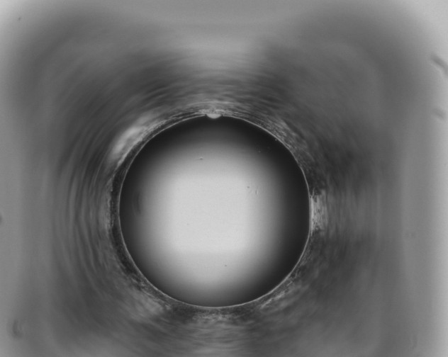 X0000095930291200801181446