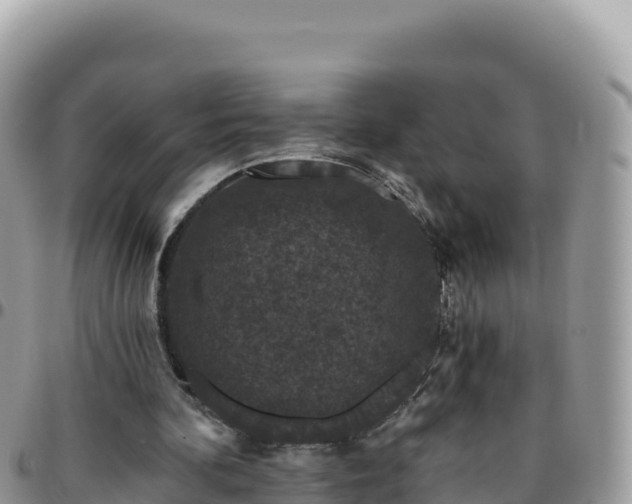 X0000095930292200801181446