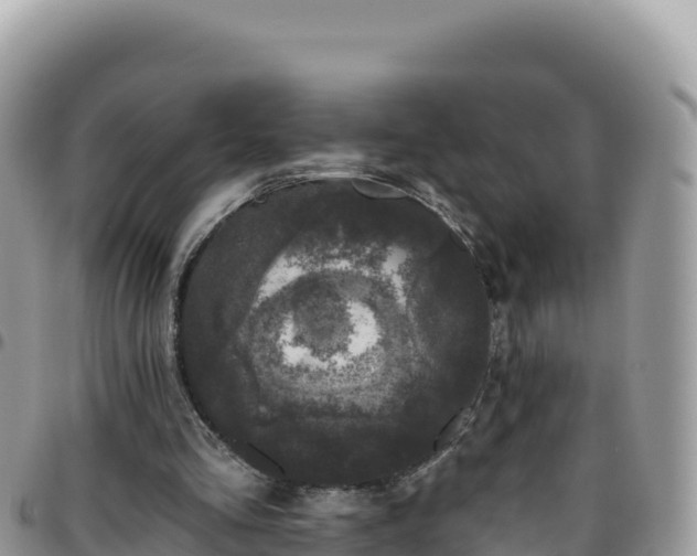 X0000095930293200801181446