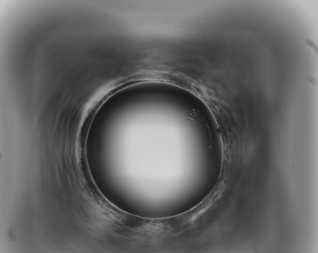 X0000095930294200801181446
