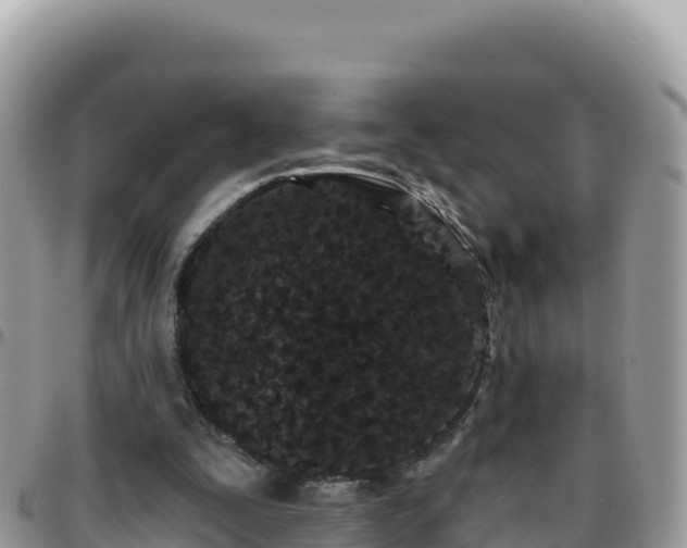 X0000095930295200801181446