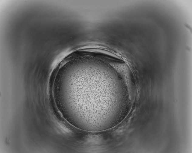 X0000095930296200801181446