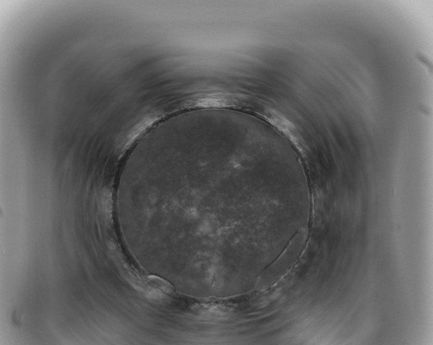 X0000095930297200801181446