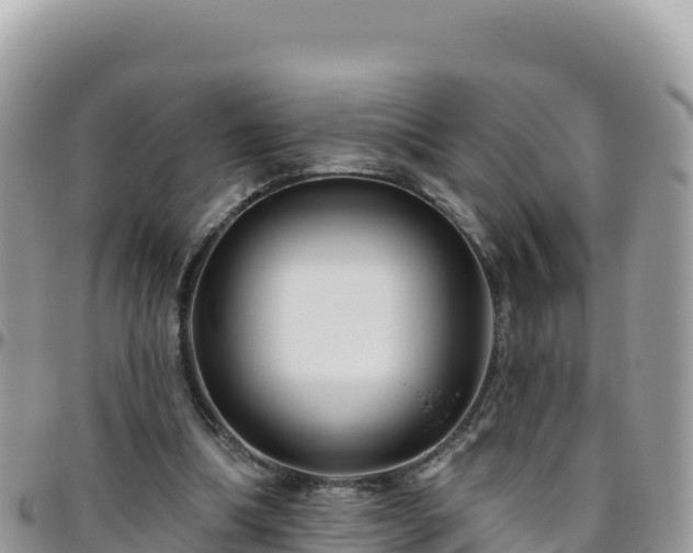 X0000095930298200801181446