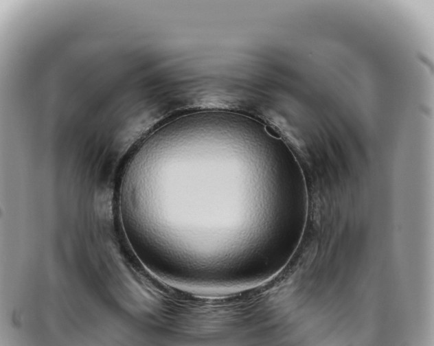 X0000095930299200801181446