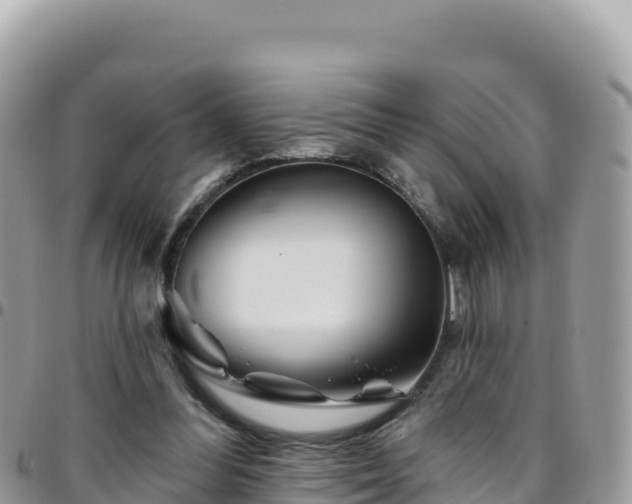 X0000095930300200801181446