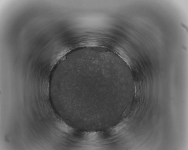 X0000095930301200801181446