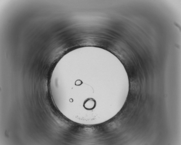 X0000095930302200801181446