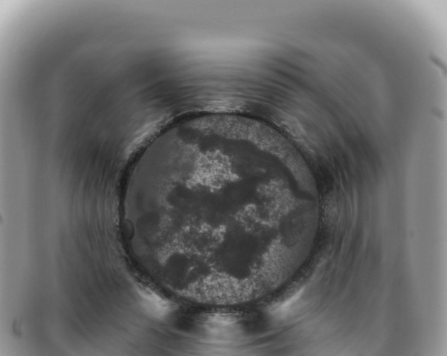X0000095930303200801181446