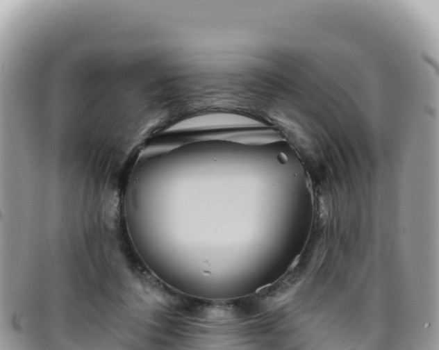 X0000095930308200801181446