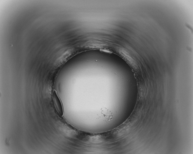 X0000095930309200801181446