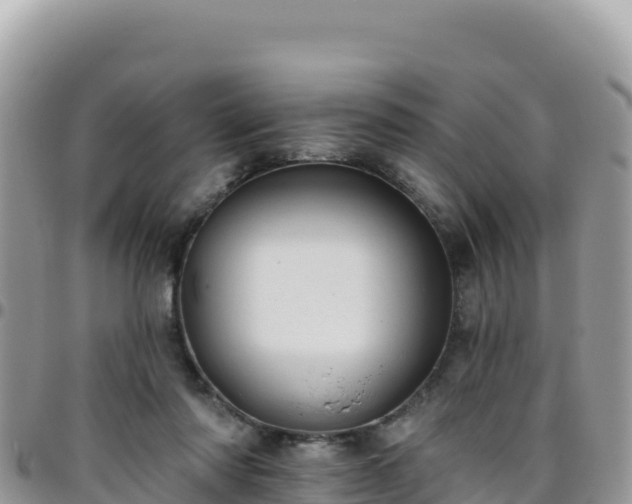 X0000095930310200801181446