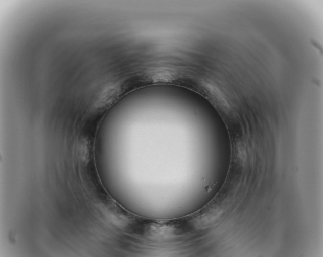 X0000095930311200801181446