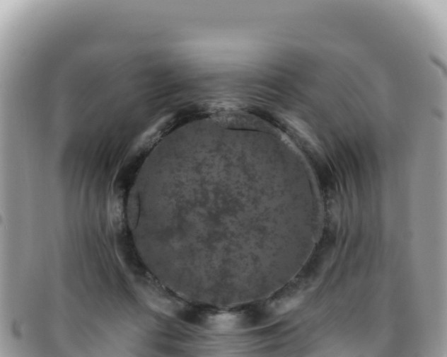 X0000095930312200801181446