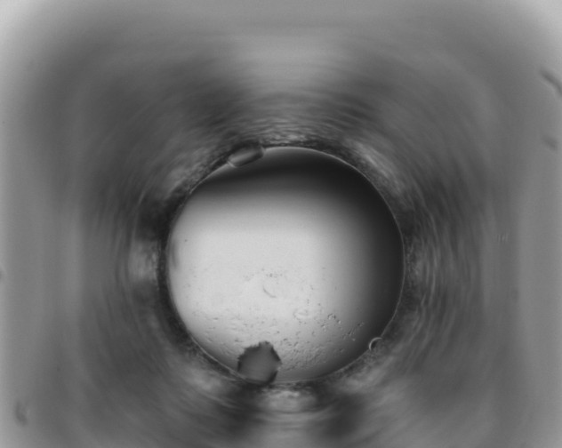 X0000095930315200801181446