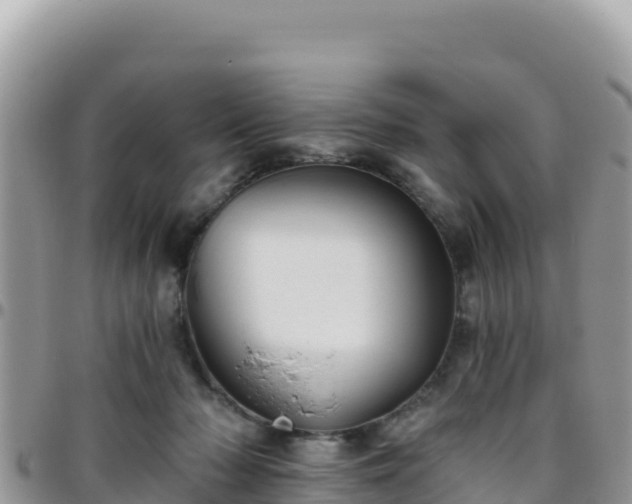 X0000095930318200801181446