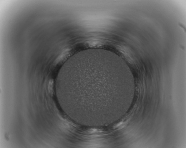 X0000095930319200801181446
