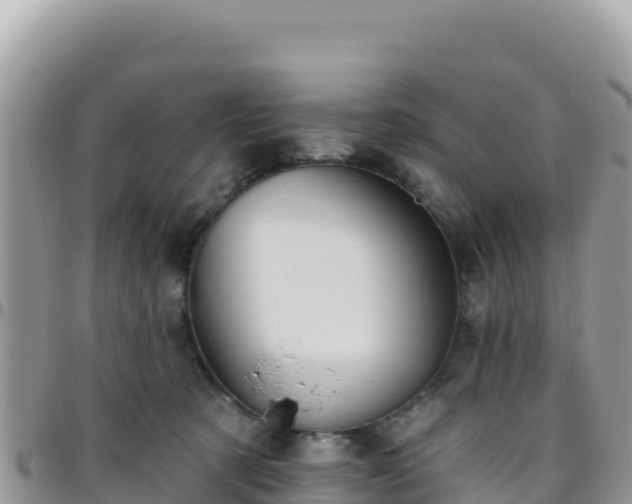 X0000095930321200801181446