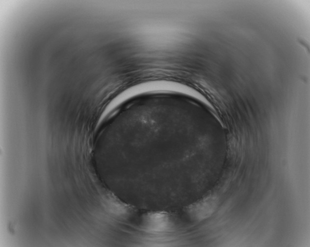 X0000095930325200801181446
