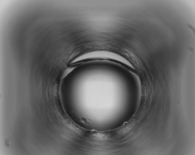 X0000095930326200801181446