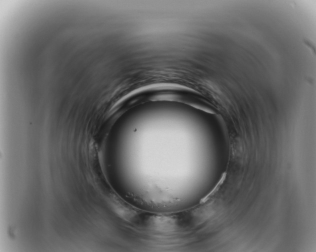 X0000095930327200801181446