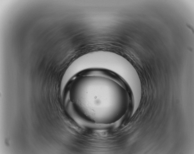 X0000095930328200801181446