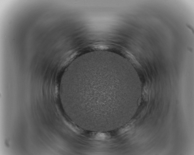 X0000095930330200801181445