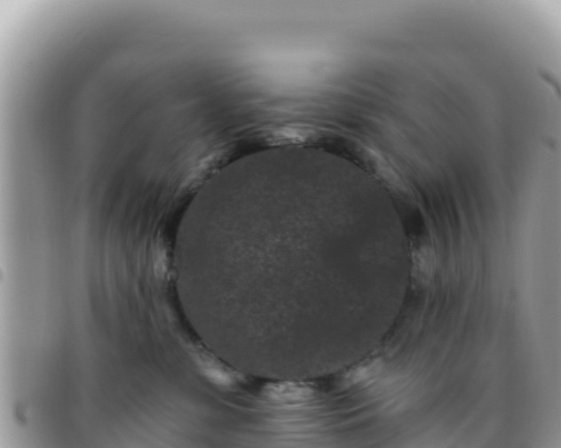 X0000095930331200801181445