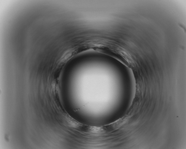 X0000095930333200801181445