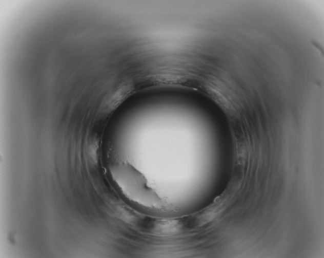 X0000095930334200801181445