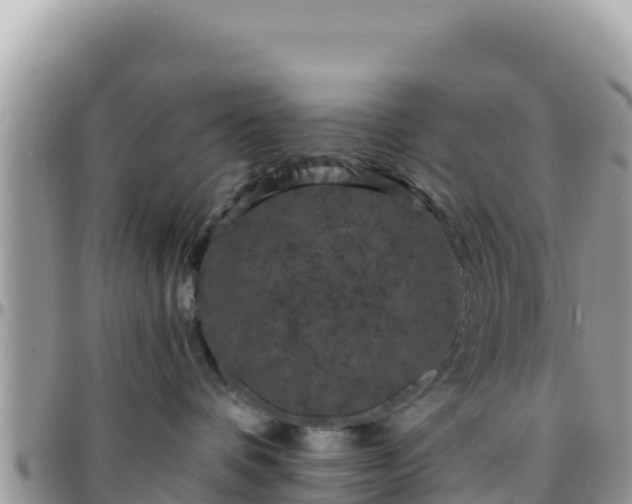 X0000095930336200801181445