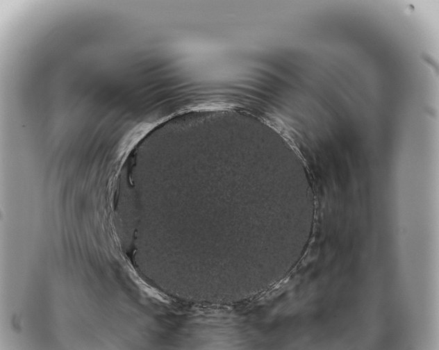 X0000095930337200801181445