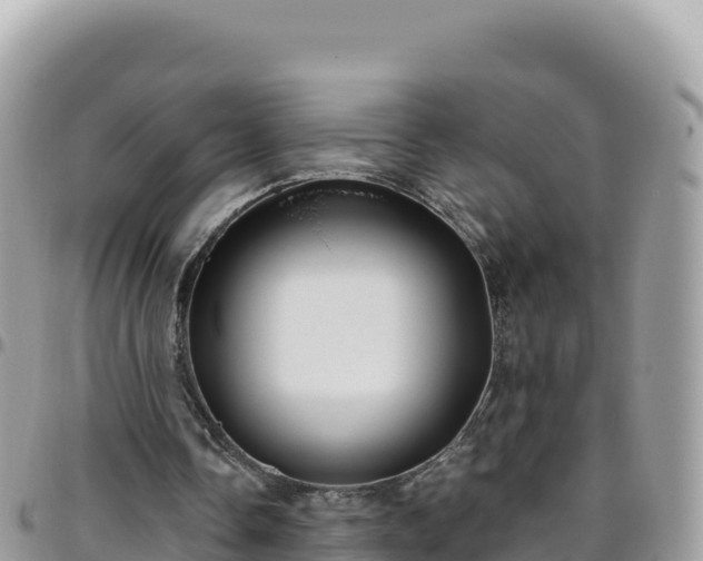 X0000095930338200801181445