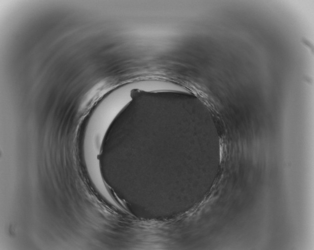 X0000095930339200801181445