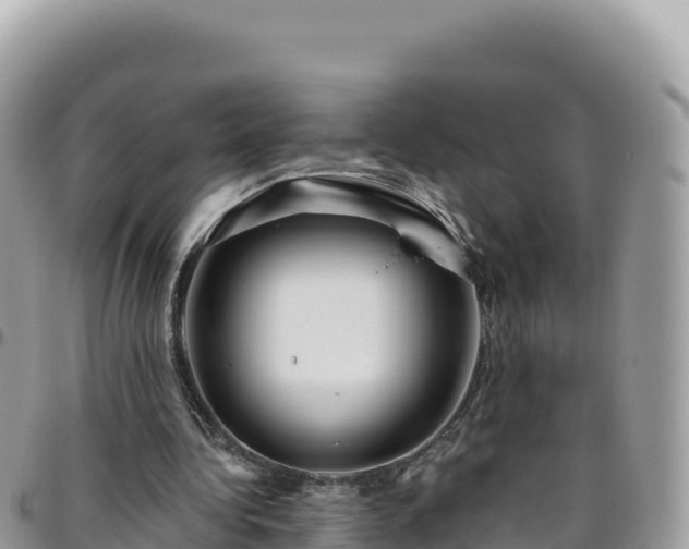 X0000095930340200801181445