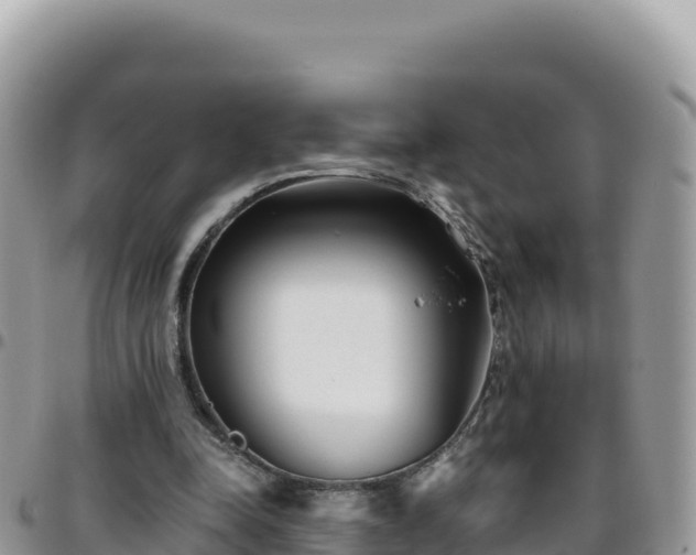 X0000095930342200801181445