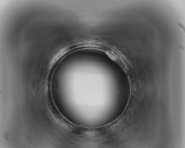 X0000095930344200801181445