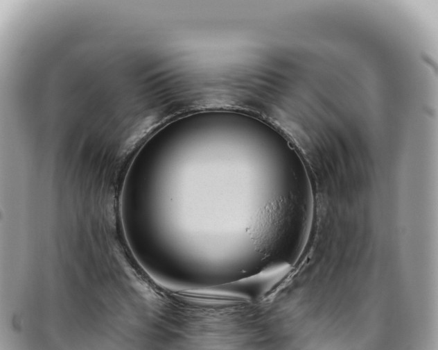 X0000095930345200801181445