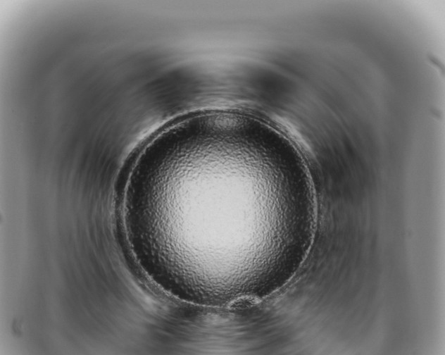 X0000095930346200801181445