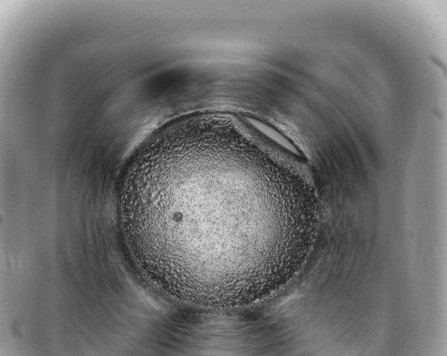 X0000095930347200801181445