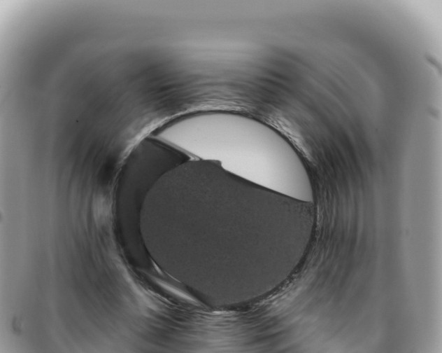 X0000095930348200801181445