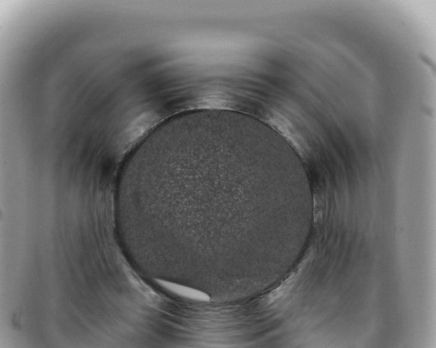 X0000095930349200801181445