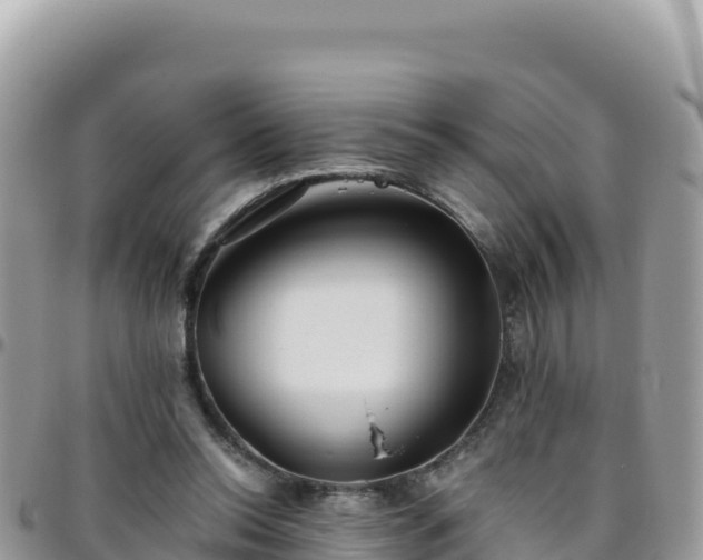 X0000095930350200801181445