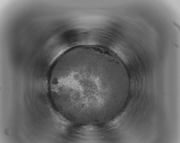 X0000095930351200801181445