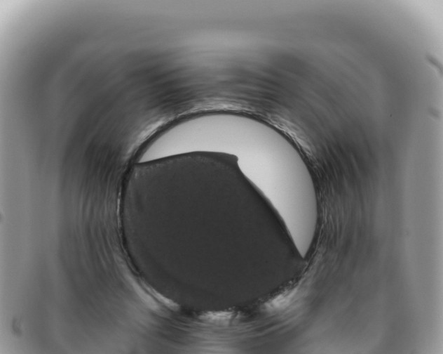 X0000095930352200801181445