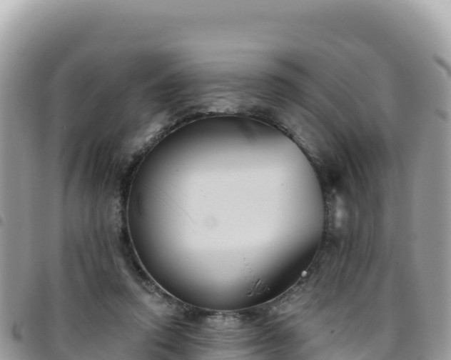 X0000095930354200801181445
