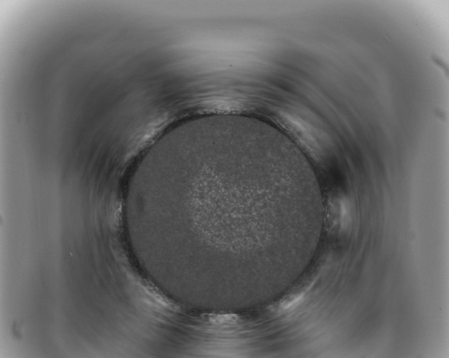 X0000095930355200801181445